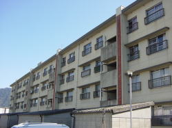 みどりグループ