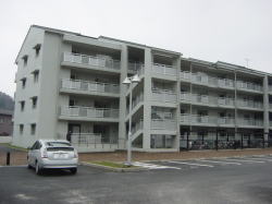 公営住宅定期募集申込みのしおり 廿日市市市営住宅ガイド