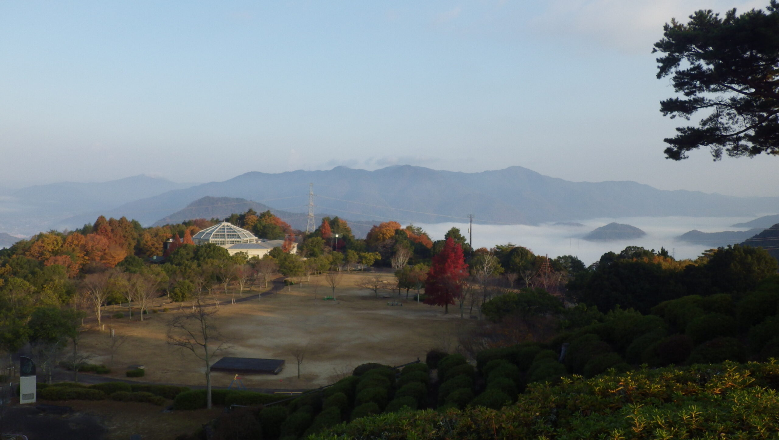 雲海と紅葉　第二駐車場