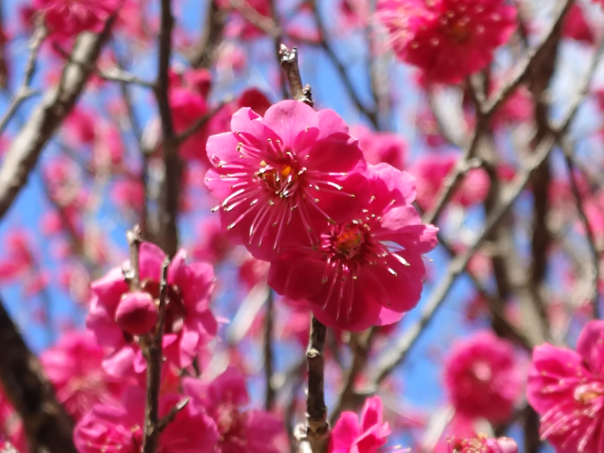 コウバイ　第一料金ゲート