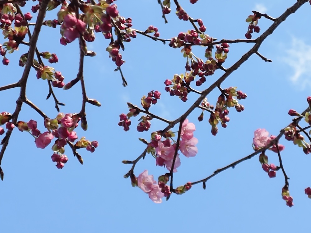 ヨウコウ　管理センター